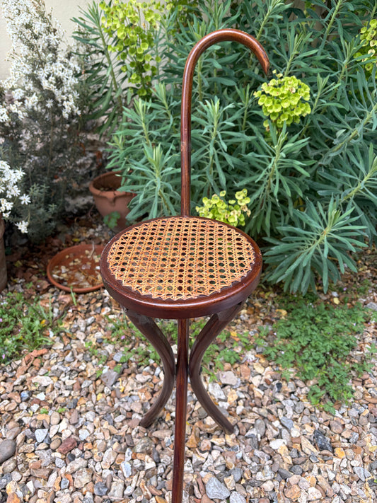 WALKING STICK