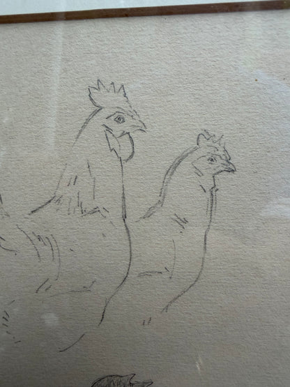 CHICKEN DRAWING