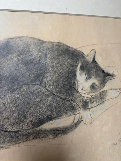 CAT DRAWING
