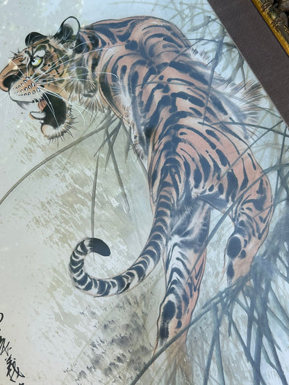 TIGER PICTURE
