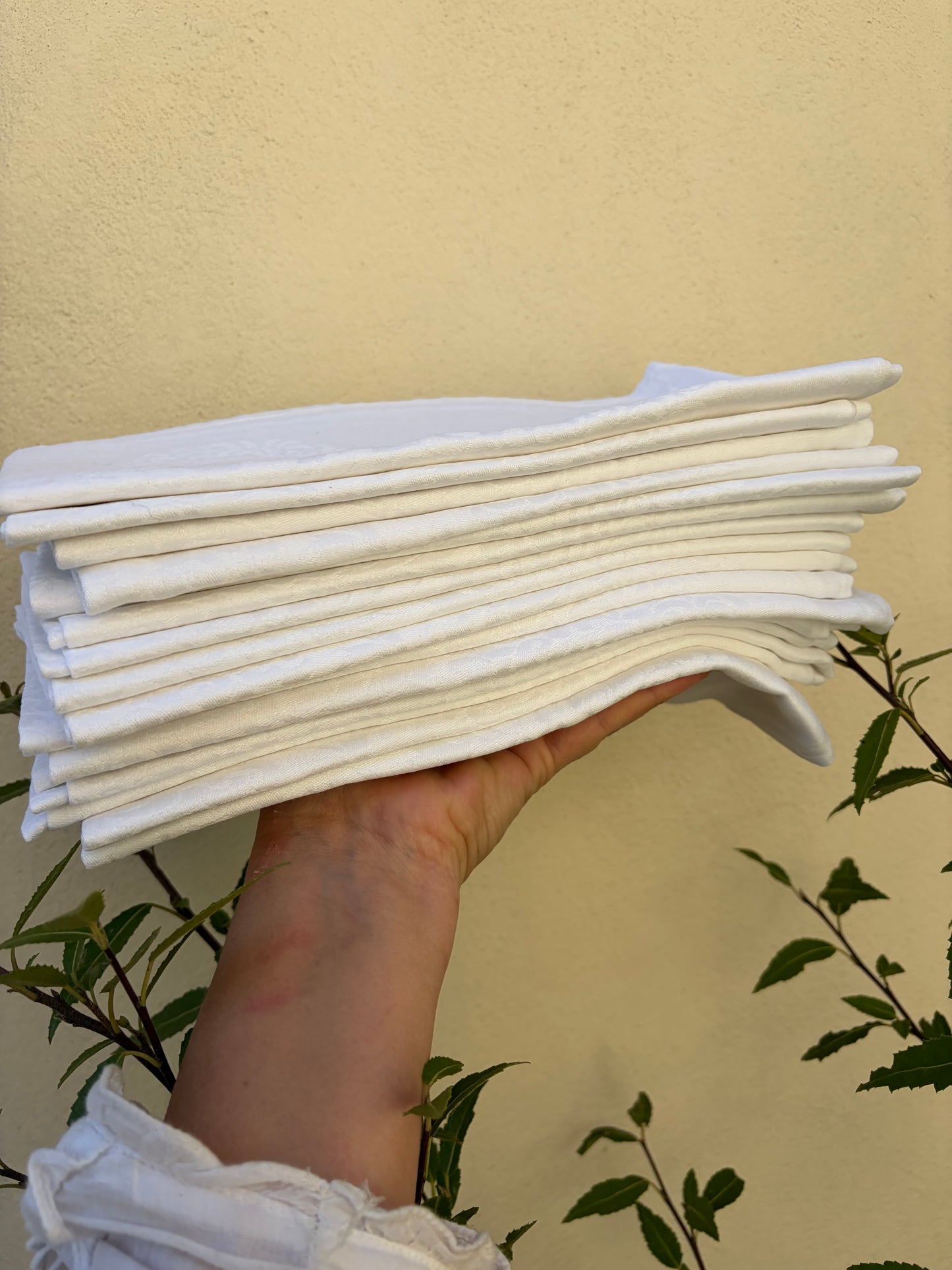 16 NAPKINS