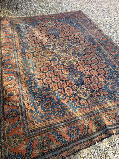 CARPET