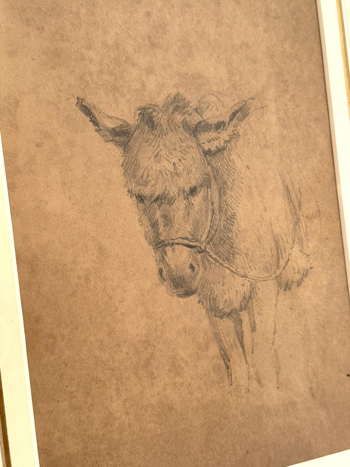 DONKEY DRAWING