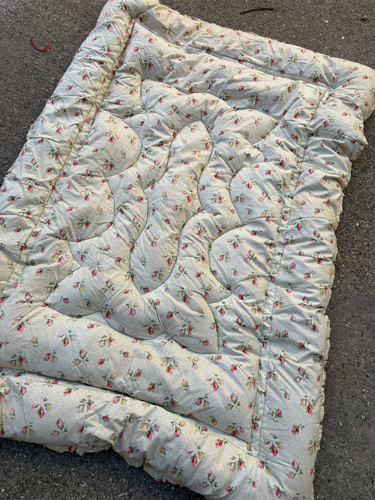 EIDERDOWN