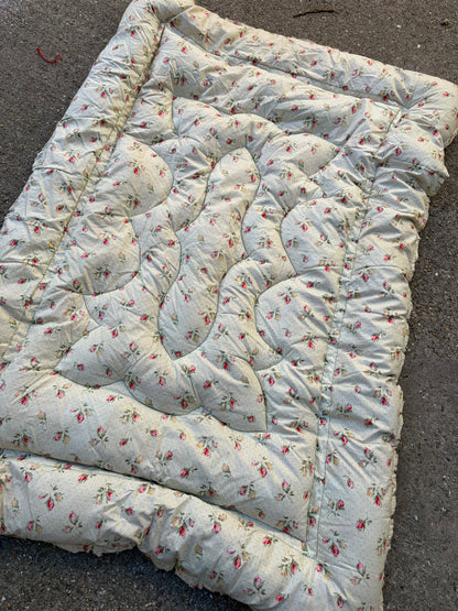 EIDERDOWN