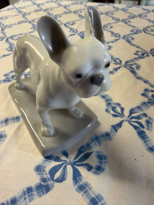 FRENCH BULLDOG