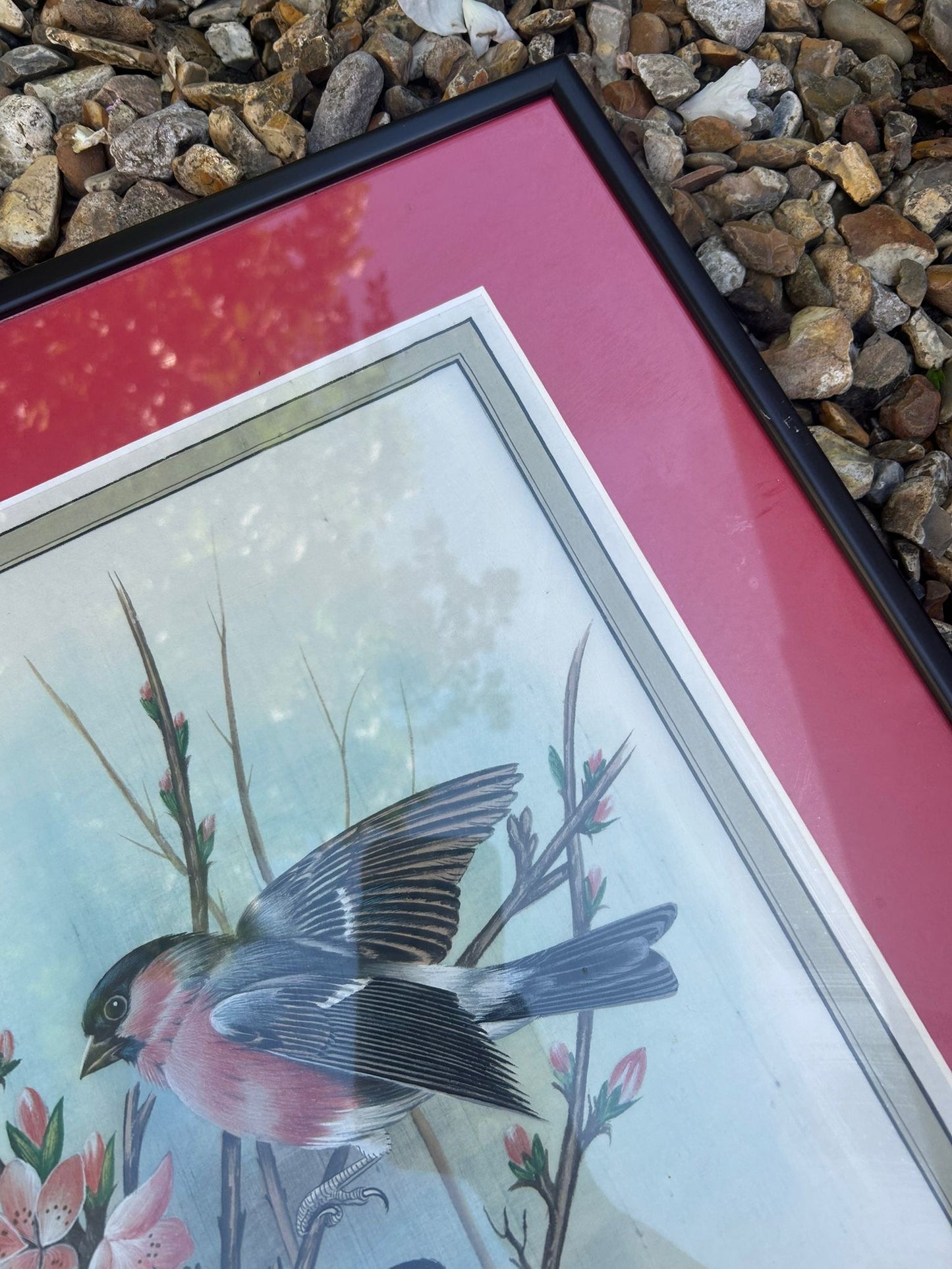 PAIR PRINTS