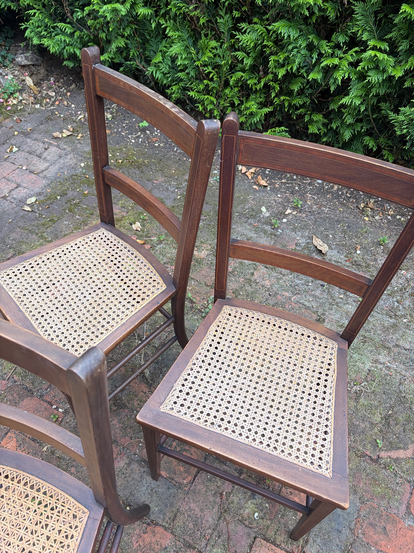 CANE CHAIRS