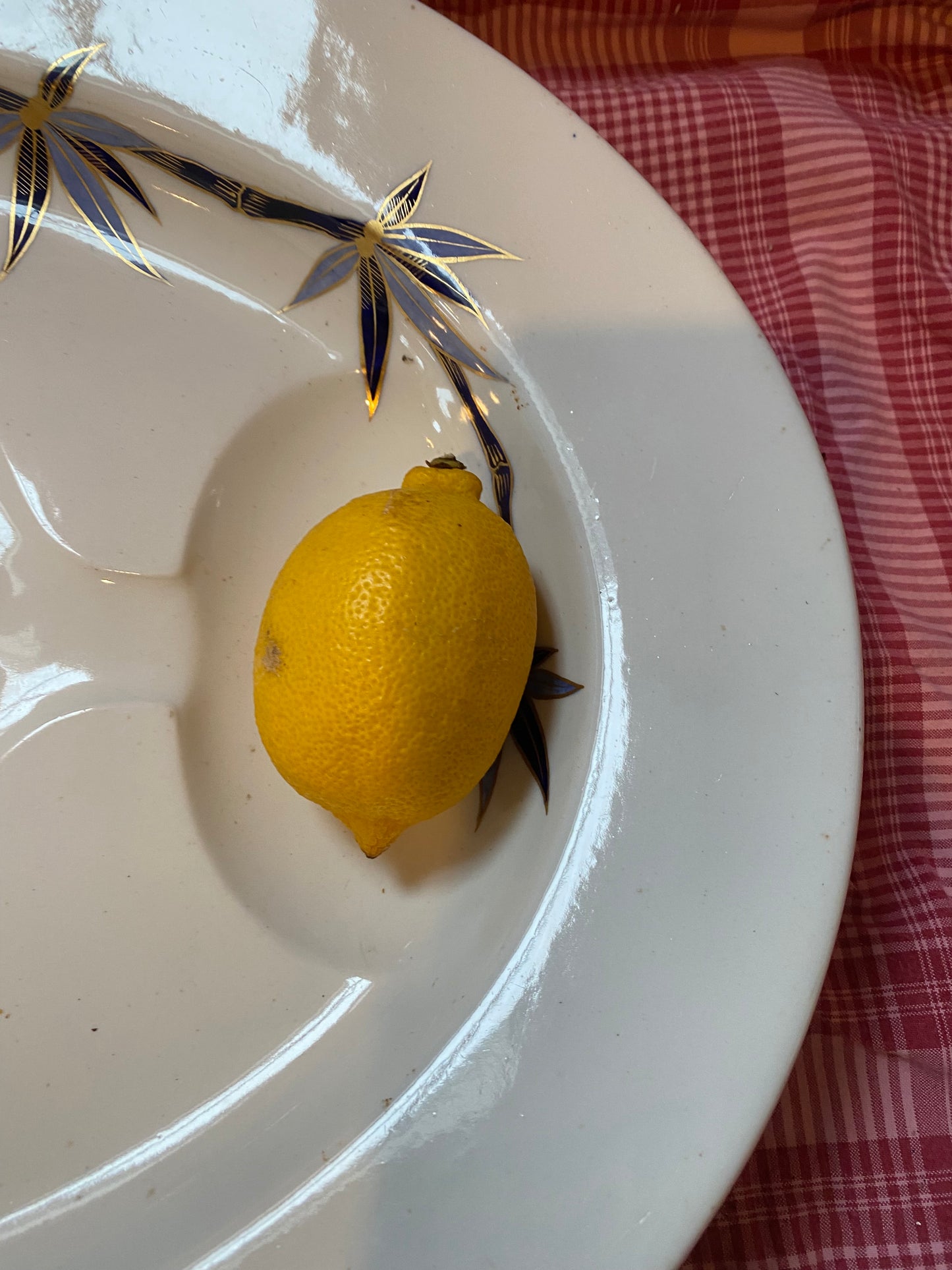 OVAL MEAT DISH