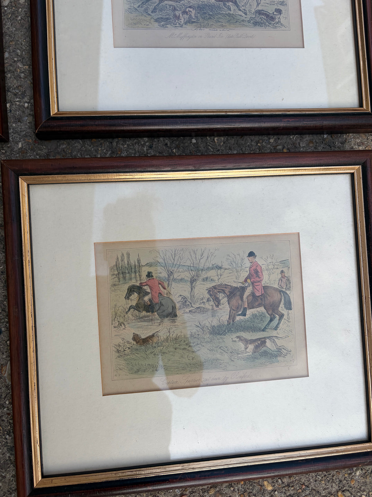 HORSE PICTURES
