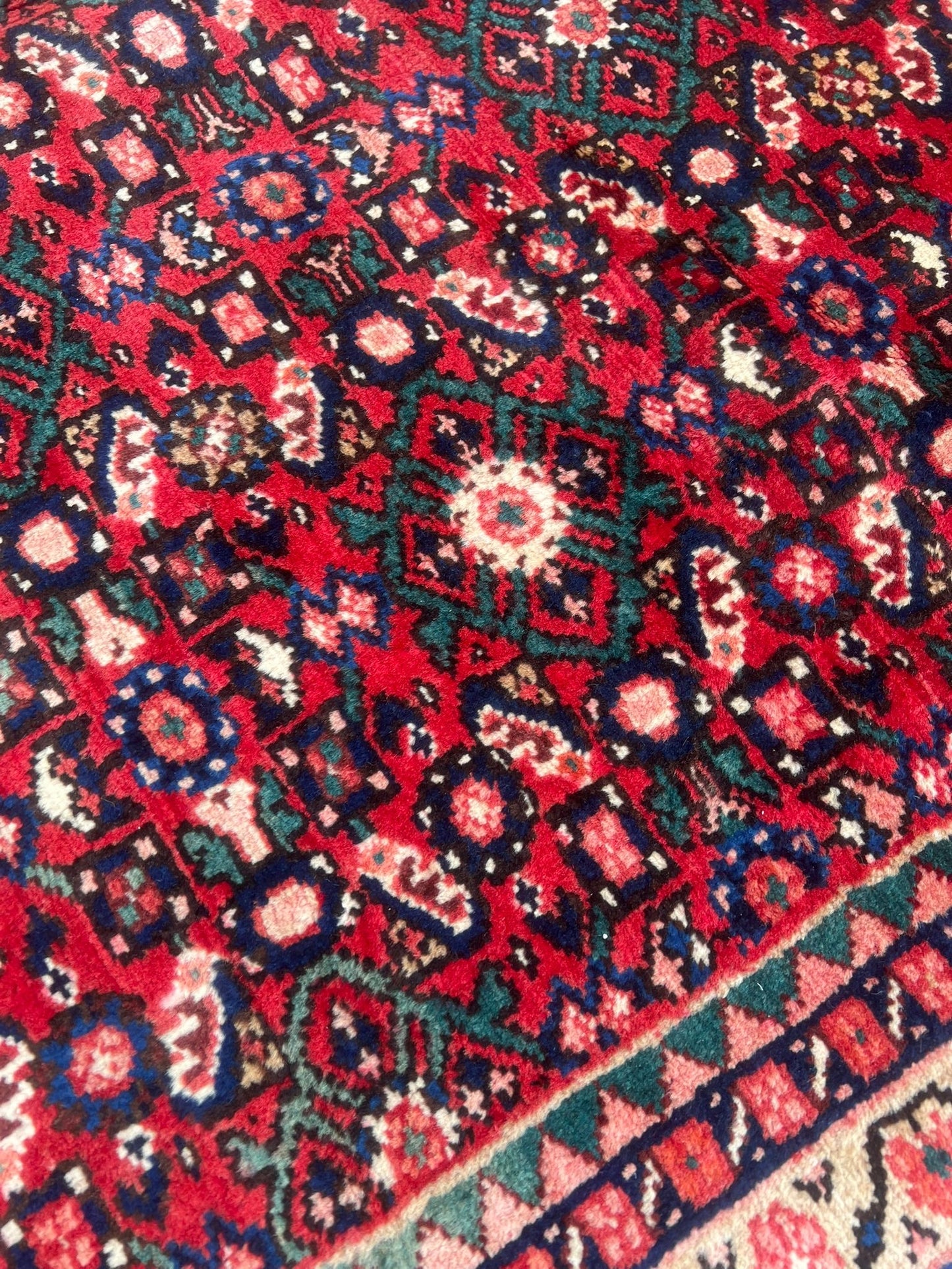 CARPET