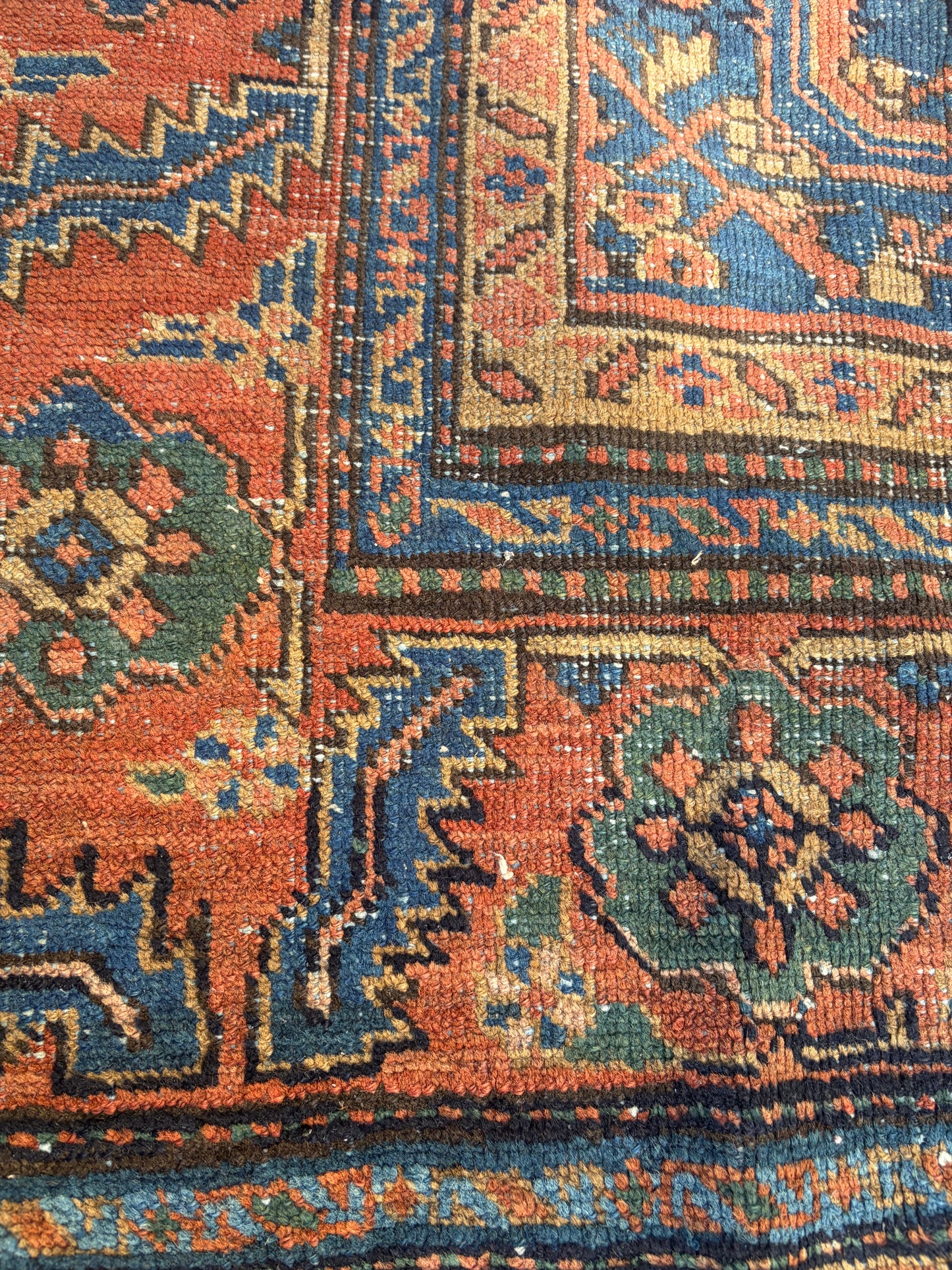 CARPET