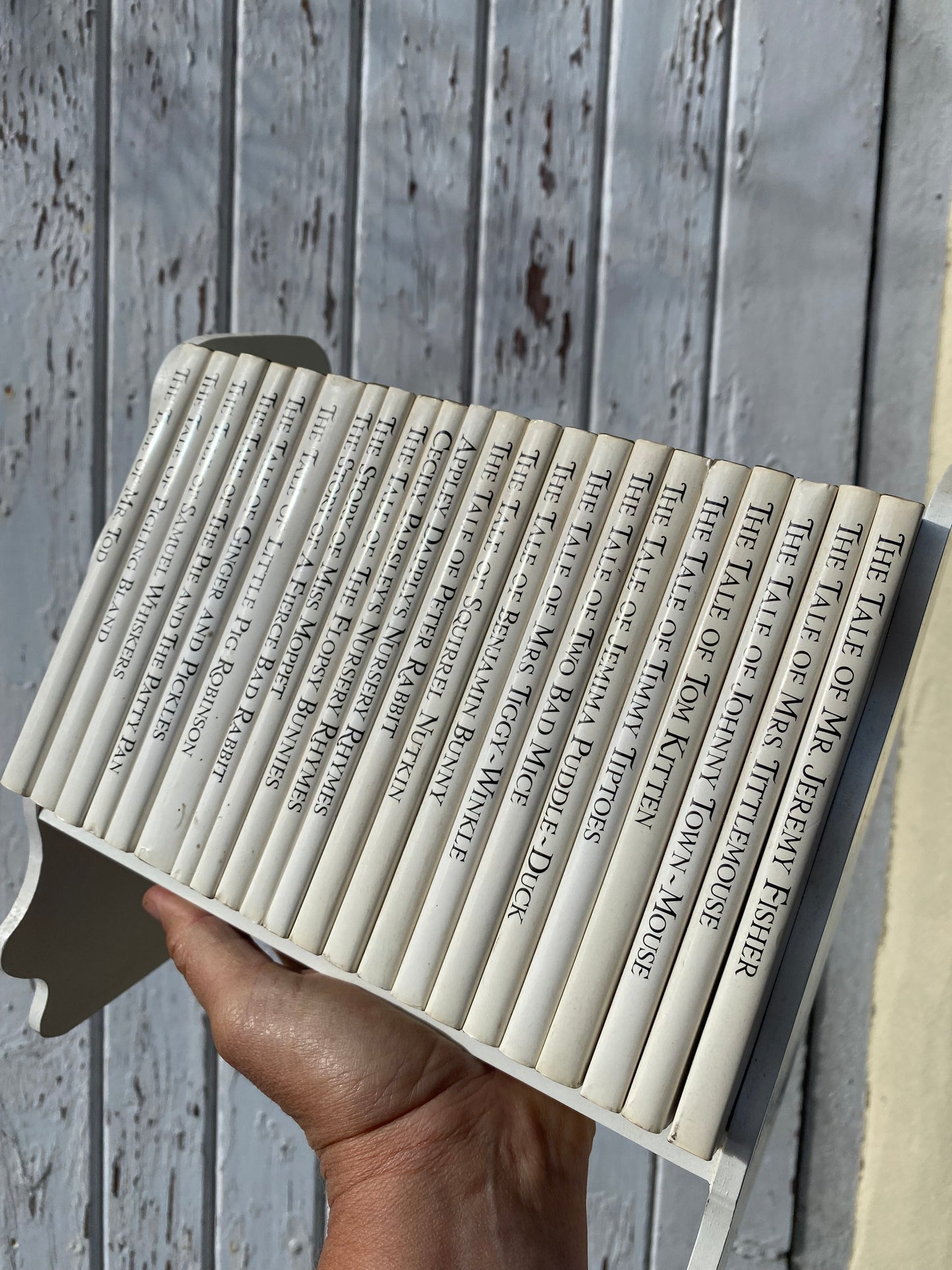 POTTER BOOKS AND SHELF