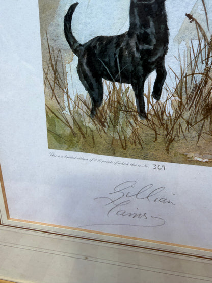 LABRADORS