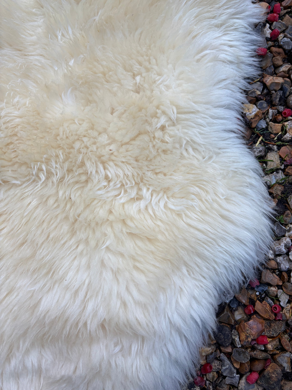 SHEEPSKIN RUGS
