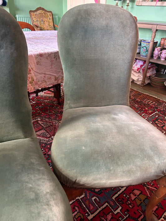 6 QUEEN ANNE CHAIRS