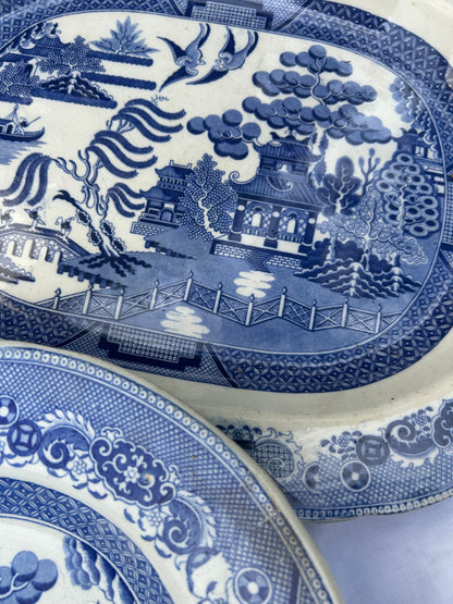 WILLOW CHINA