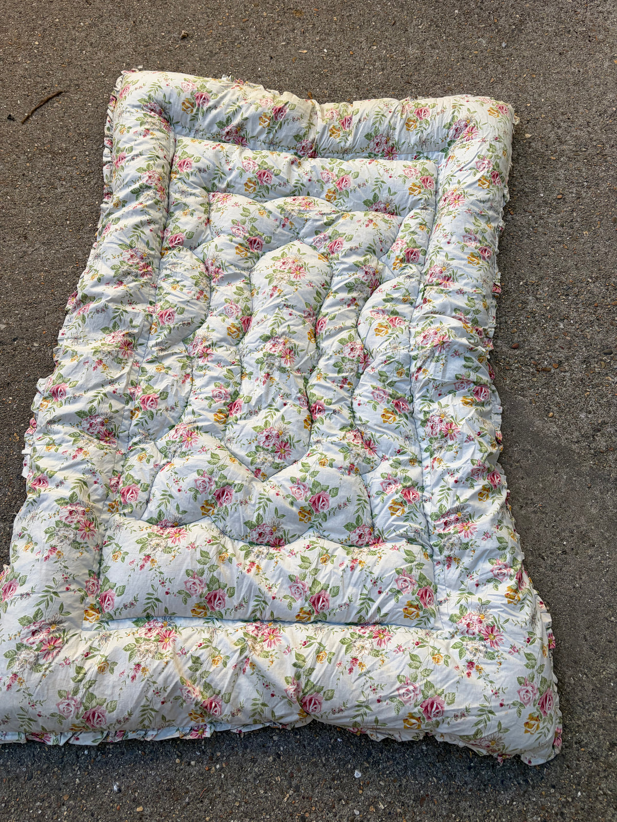 EIDERDOWN