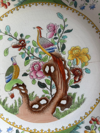 SPODE PLATE