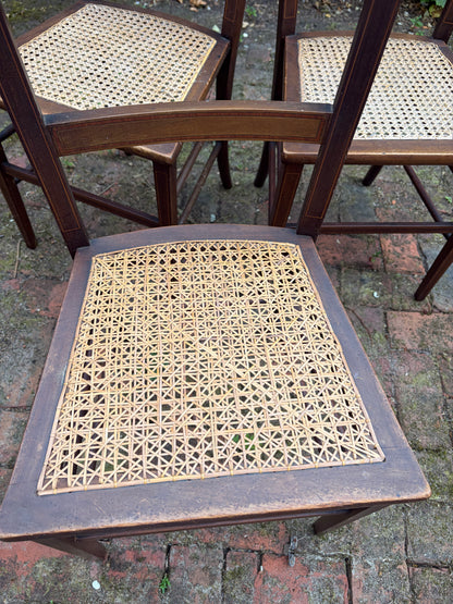 CANE CHAIRS