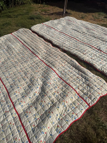 BED THROWS