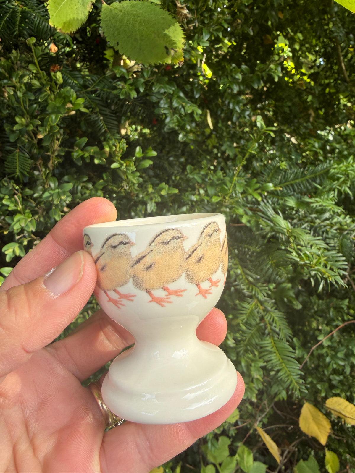 EGGCUP