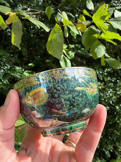 WEDGWOOD