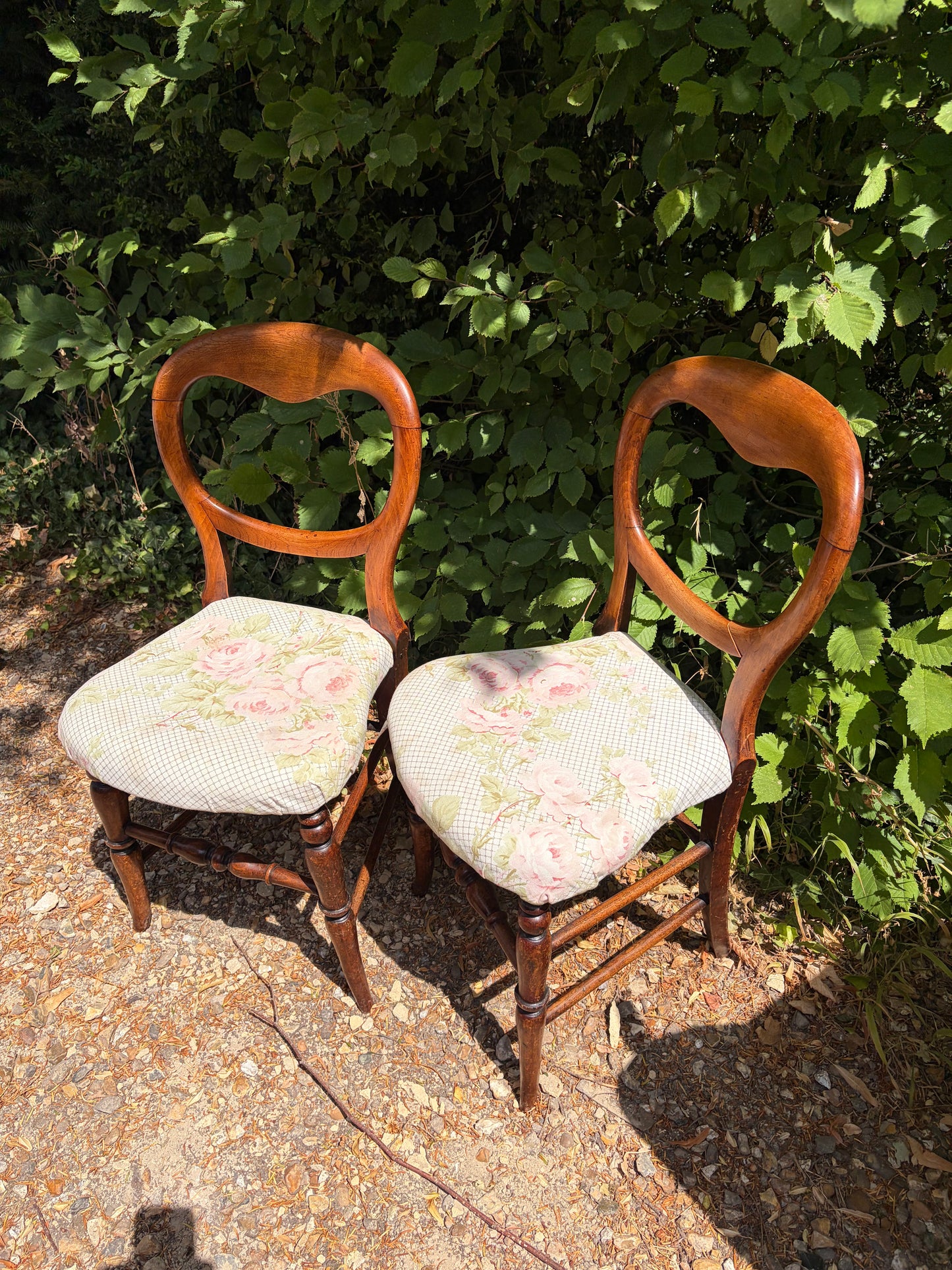 PAIR BALOON BACK CHAIRS