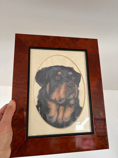 PORTRAIT OF A DOG