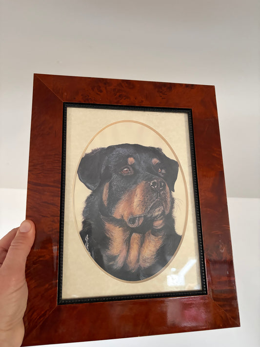 PORTRAIT OF A DOG