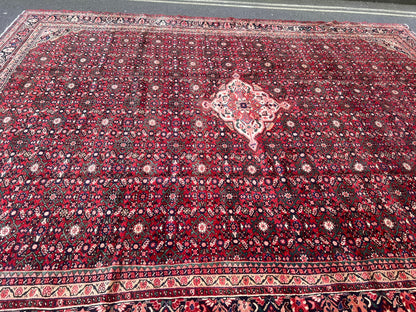 CARPET
