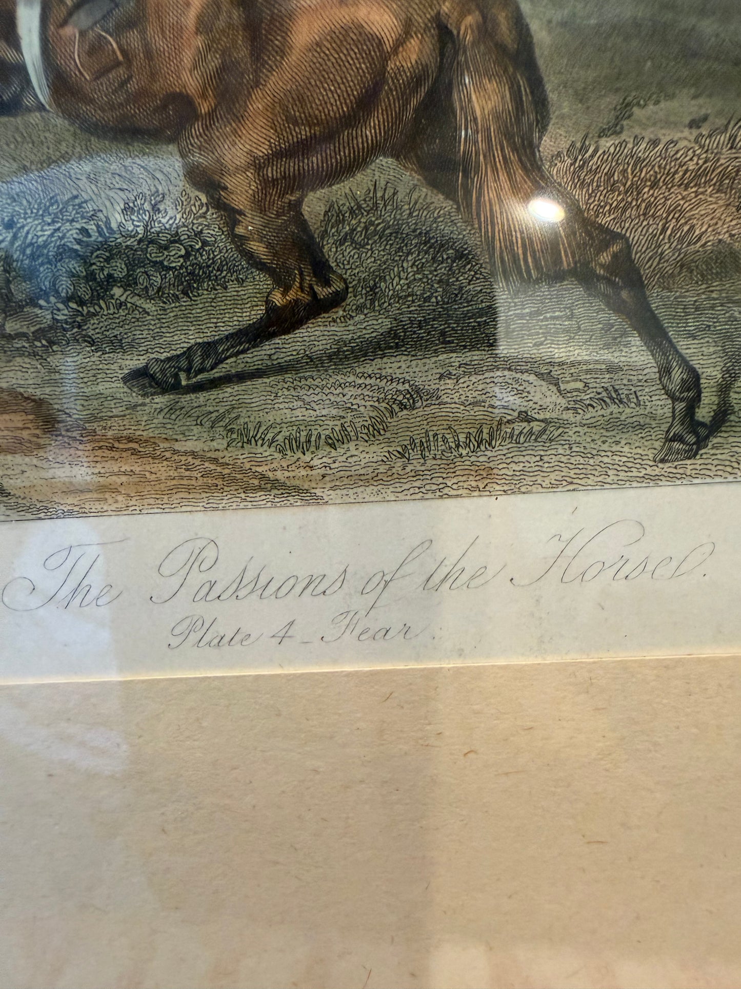 4 ANTIQUE HORSE PRINTS