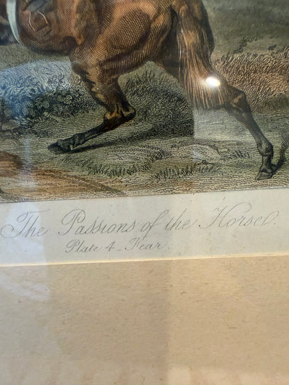 4 ANTIQUE HORSE PRINTS