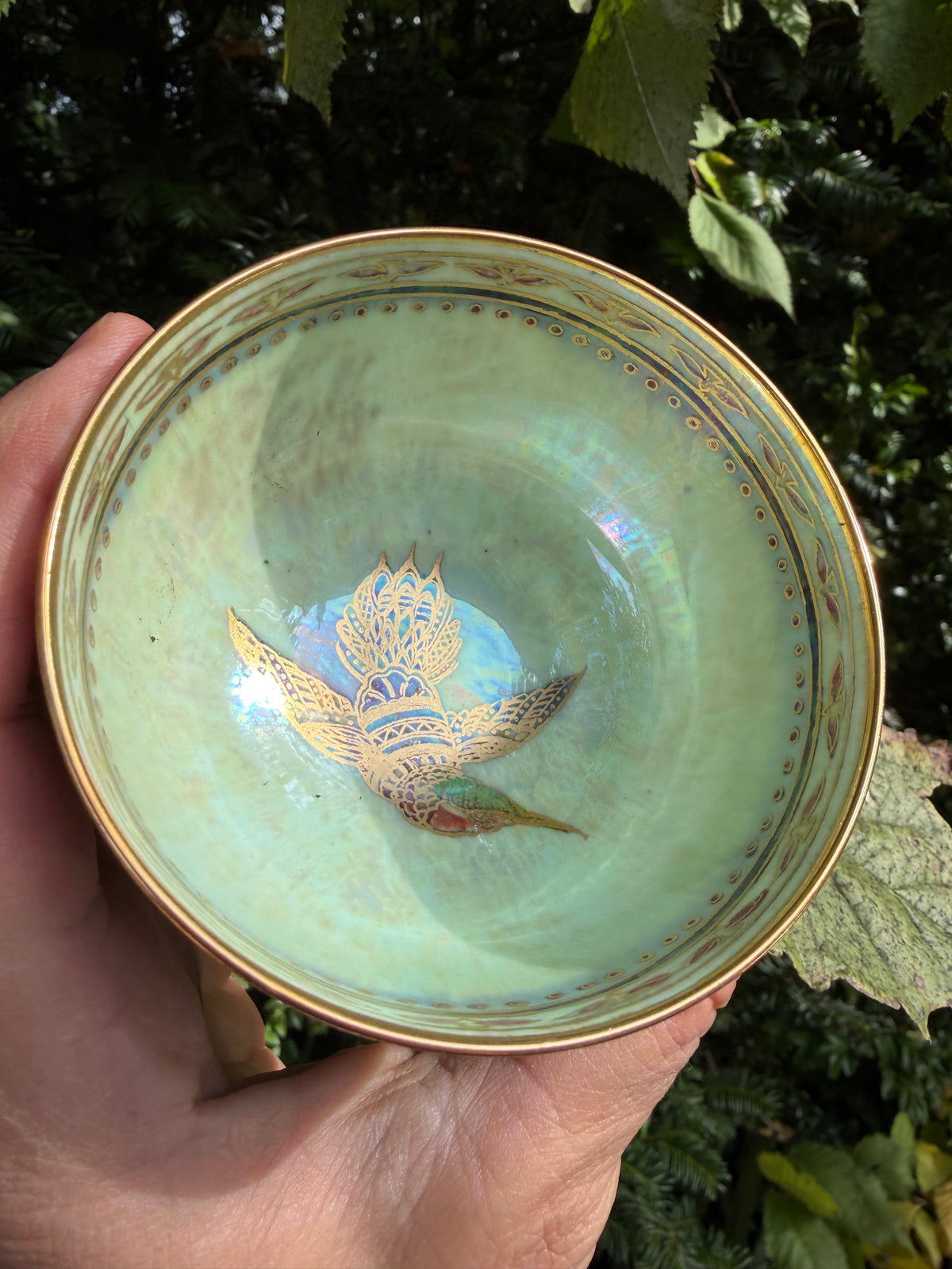 WEDGWOOD