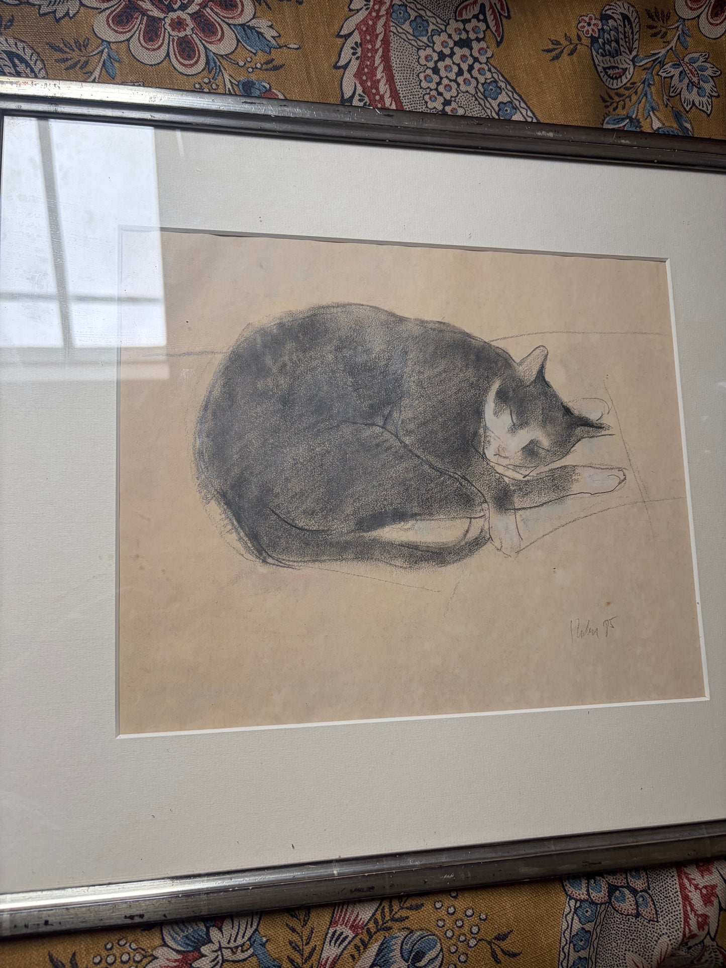 CAT DRAWING