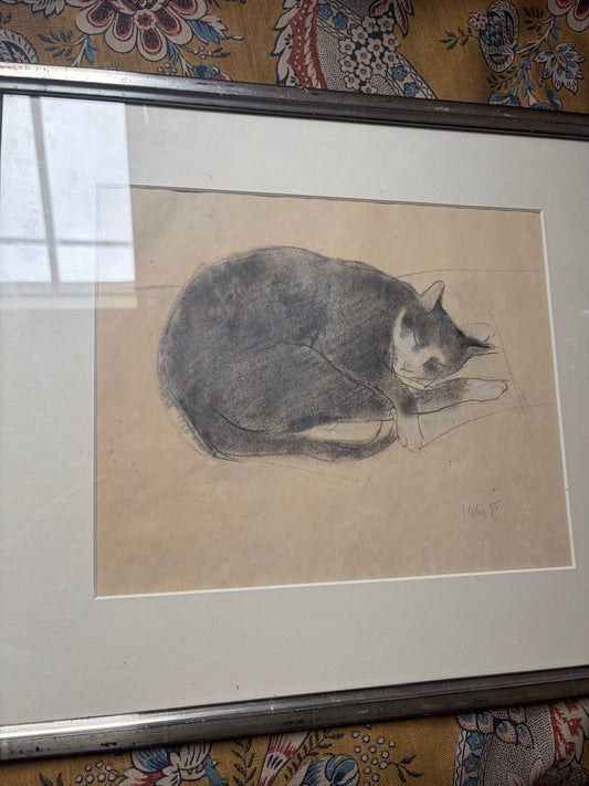 CAT DRAWING