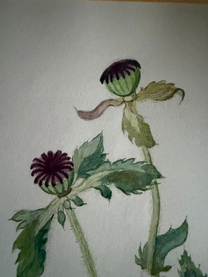 ORIGINAL WATERCOLOUR
