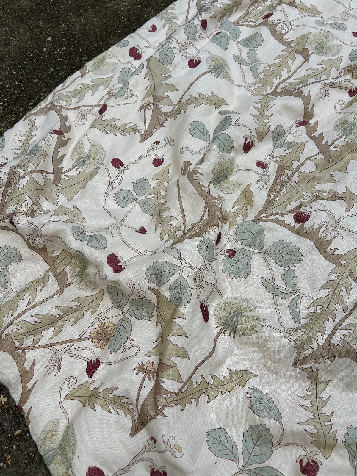 ROBERT KIME CURTAIN