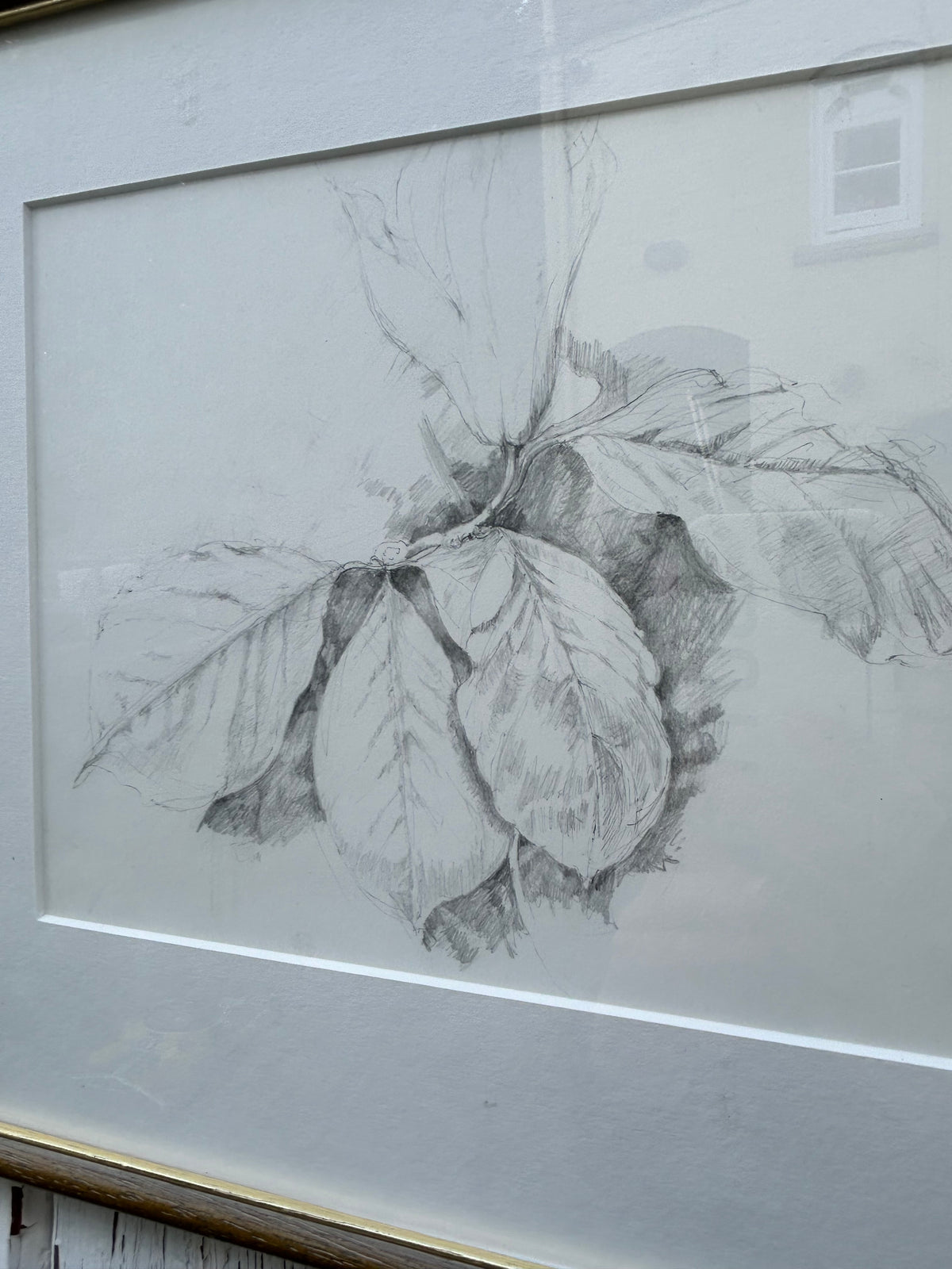 OAK LEAVES DRAWING