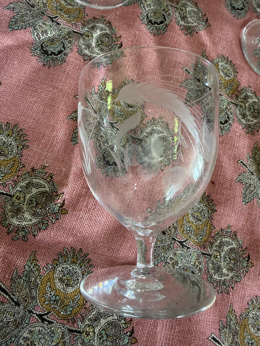 ETCHED GLASSES