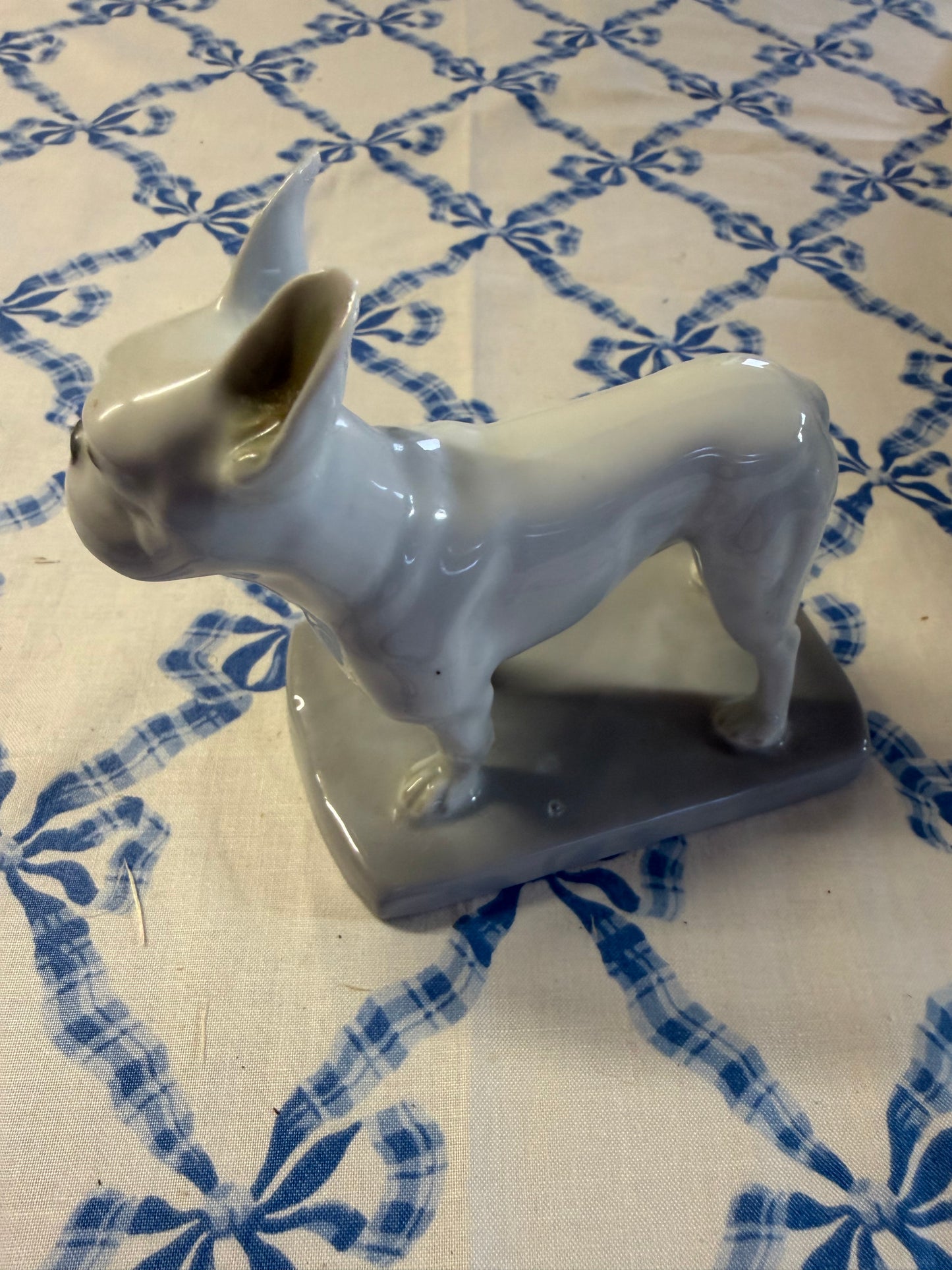 FRENCH BULLDOG