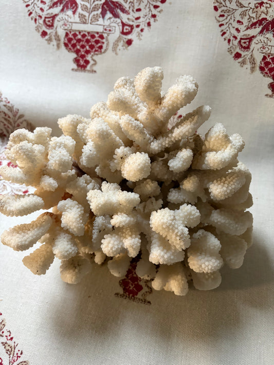 CORAL