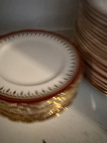 BONE CHINA SET