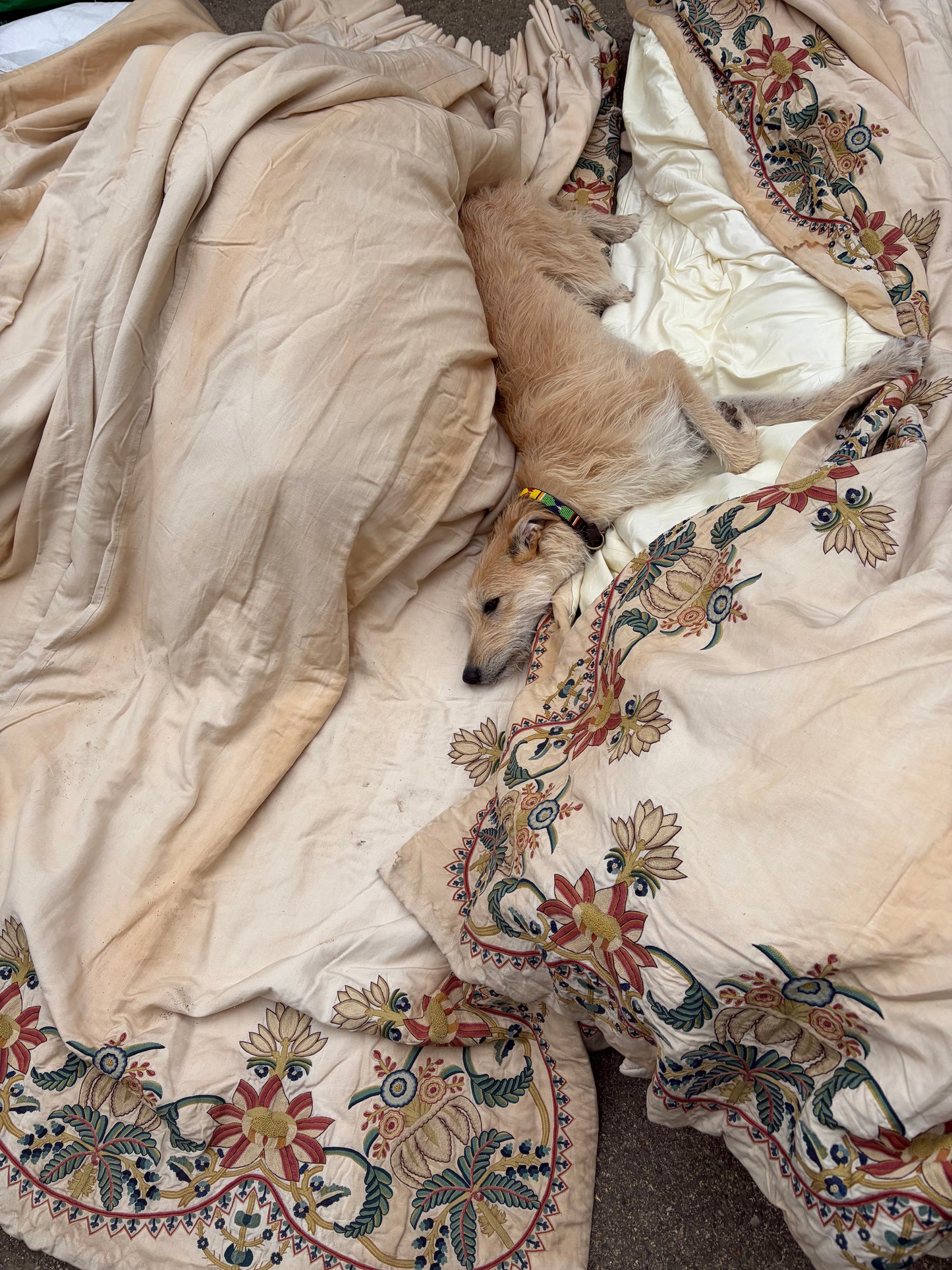 EMBROIDERED CURTAINS