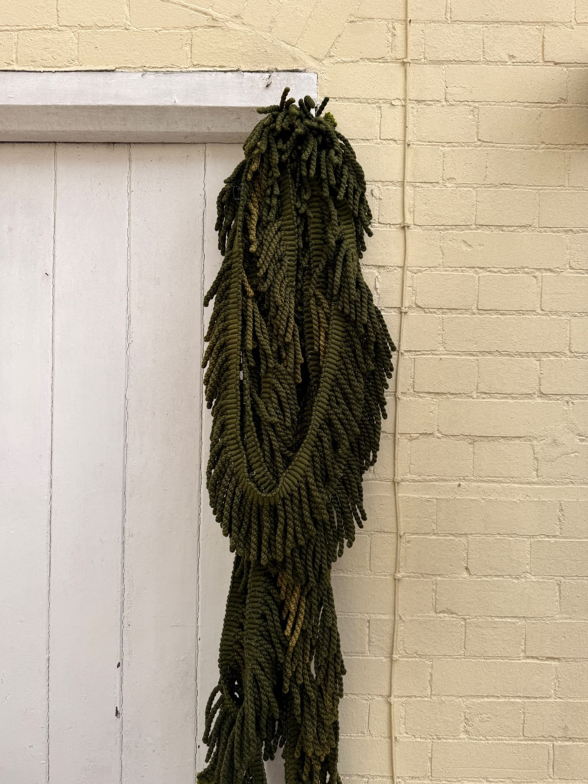 TASSELS