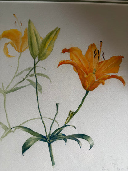 STILL LIFE