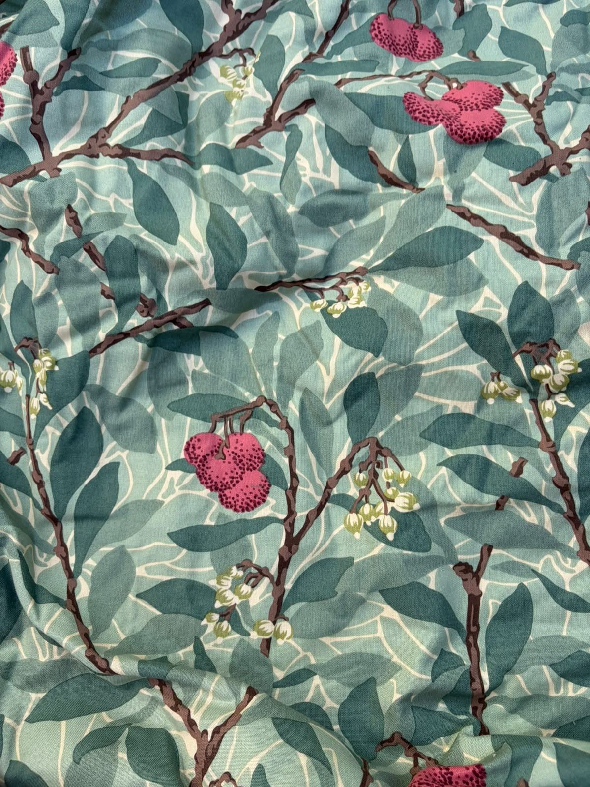 CURTAIN