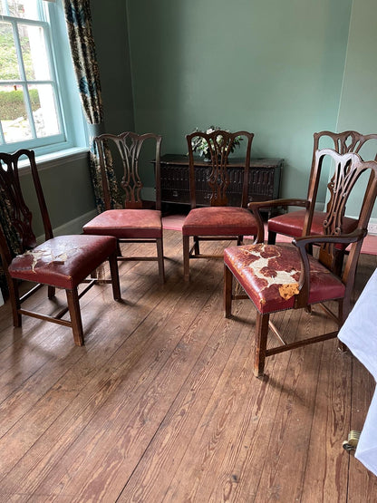 SET OF 10 CHAIRS