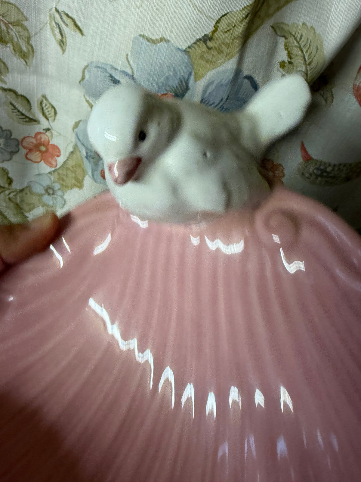SOAP DISH