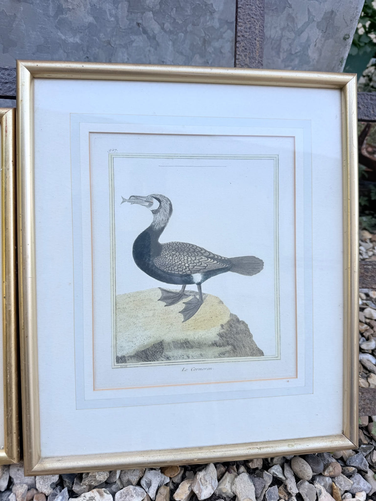 BIRD PRINTS
